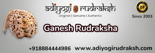 Ganesh Rudraksha