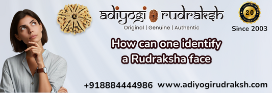 How can one identify a Rudraksha face?  