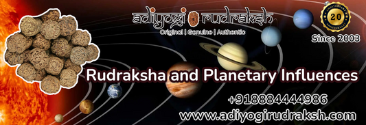 Rudraksha and Planetary Influences: Astrological Insights and Remedies   