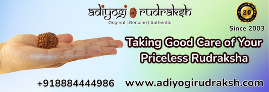 Taking Good Care of Your Priceless Rudraksha