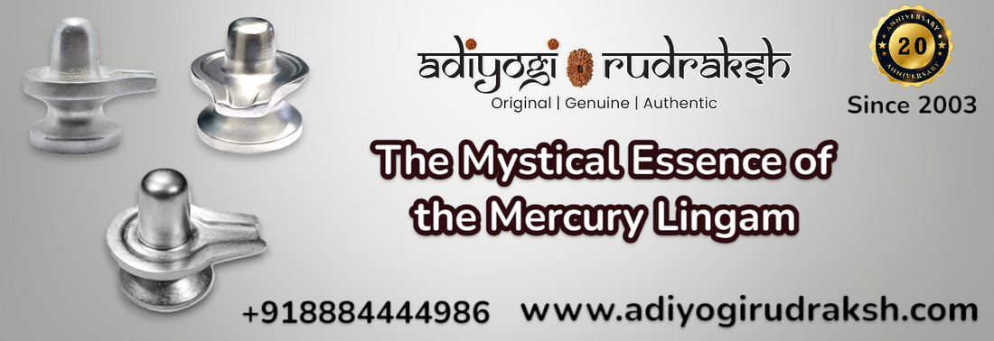 The Mystical Essence of the Mercury Lingam