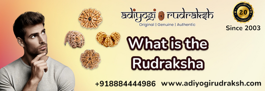 What is the Rudraksha?  