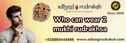 Who can wear 2 mukhi  rudraksha