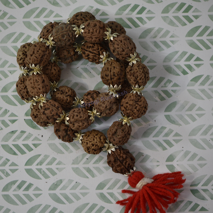 3 Mukhi Kanta With Silver