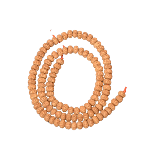 6 mukhi rudraksha mala 7 mm