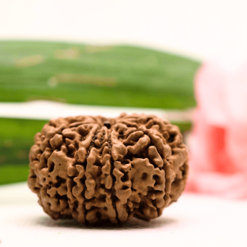 9 Mukhi Nepali Rudraksha - Antique